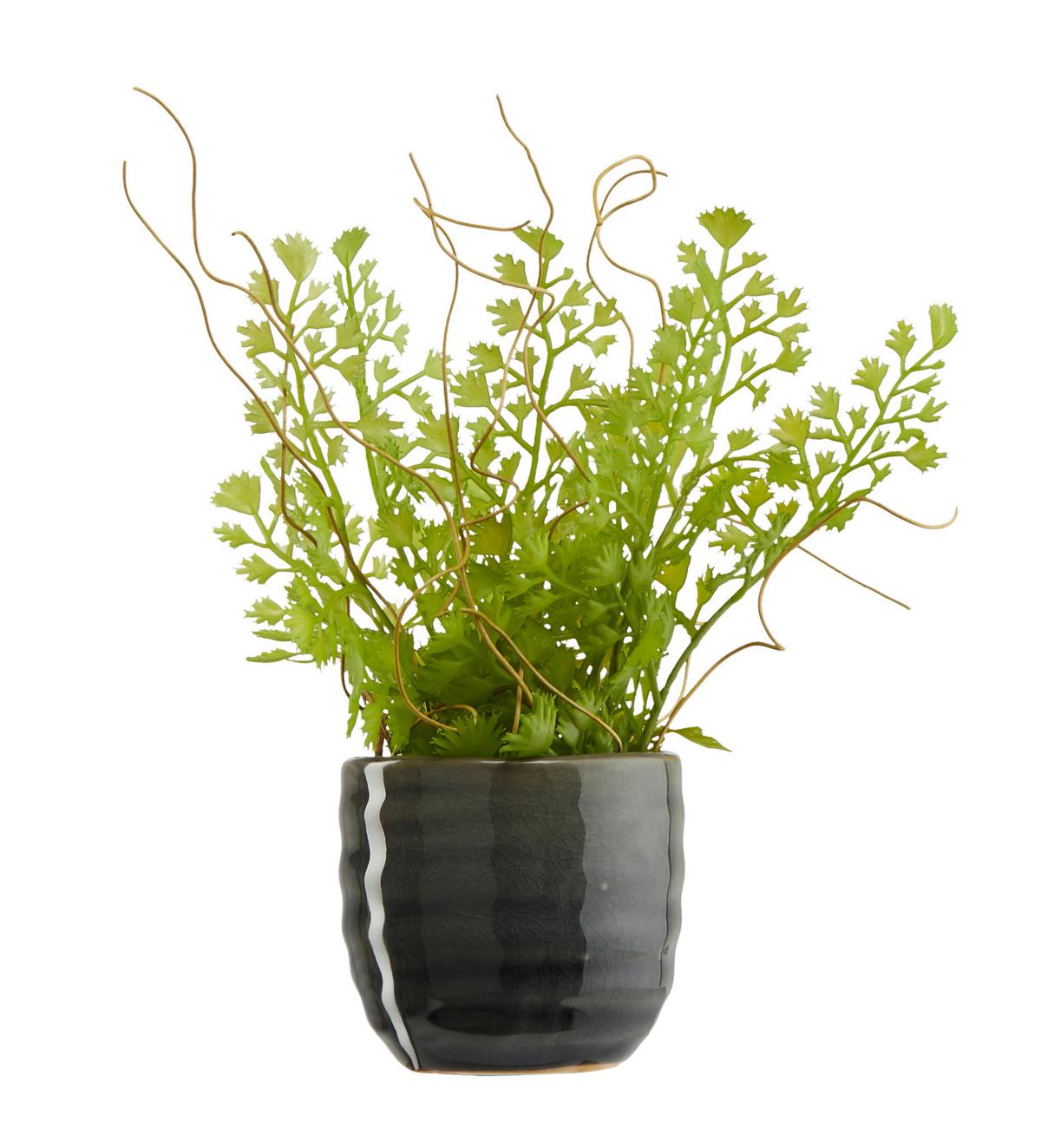 Übertopf Mood in Grau Ø ca. 6,5cm - Grau, Keramik (6,5/6,5cm) - Modern Living