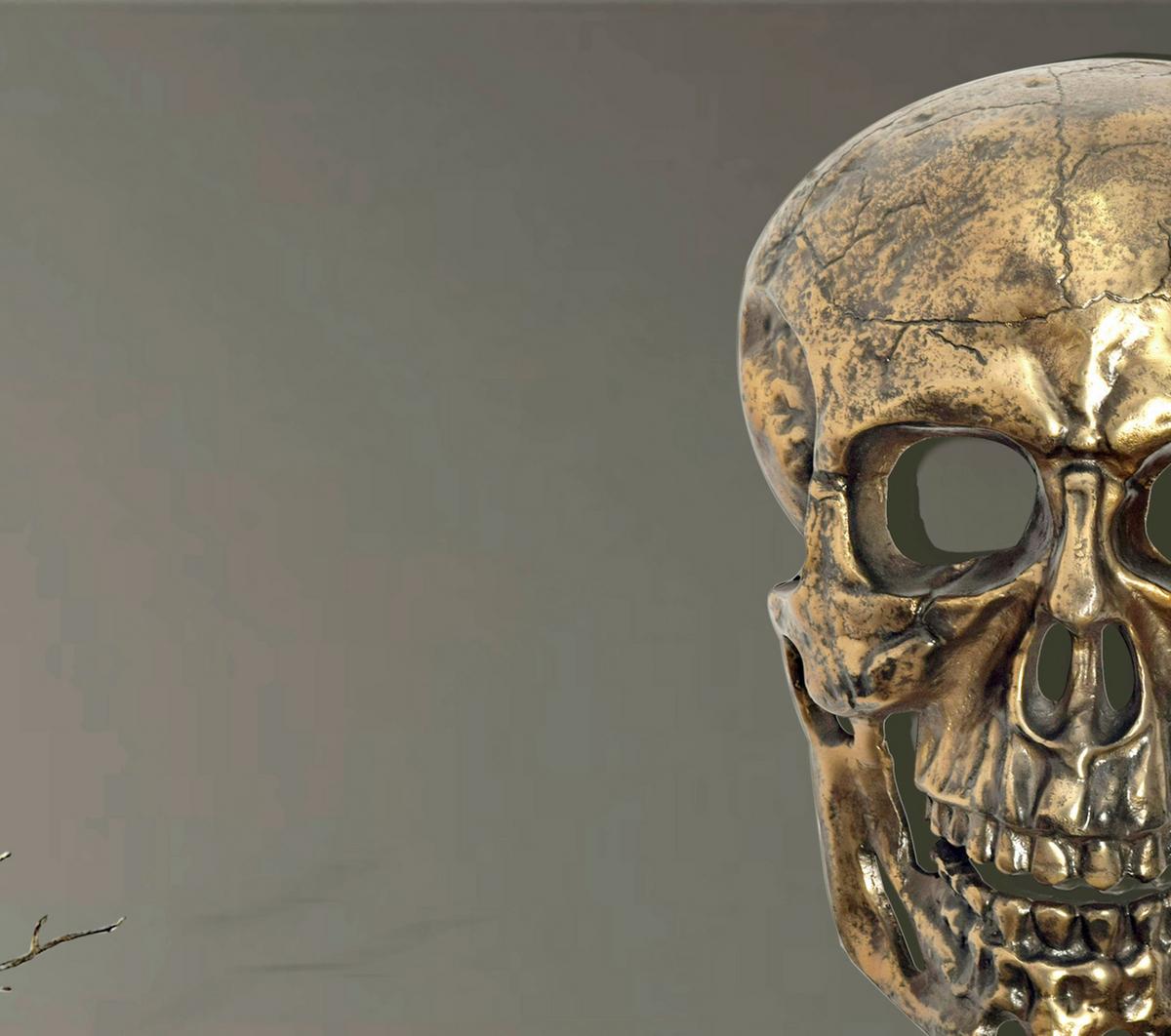 Stenska Dekoracija Skull - zlate barve, Design, kovina (30/41/15,5cm) - Livetastic