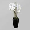 Kunstpflanze Orchidee ca. 120cm - Schwarz/Weiß, LIFESTYLE, Keramik/Kunststoff (120cm) - MID.YOU