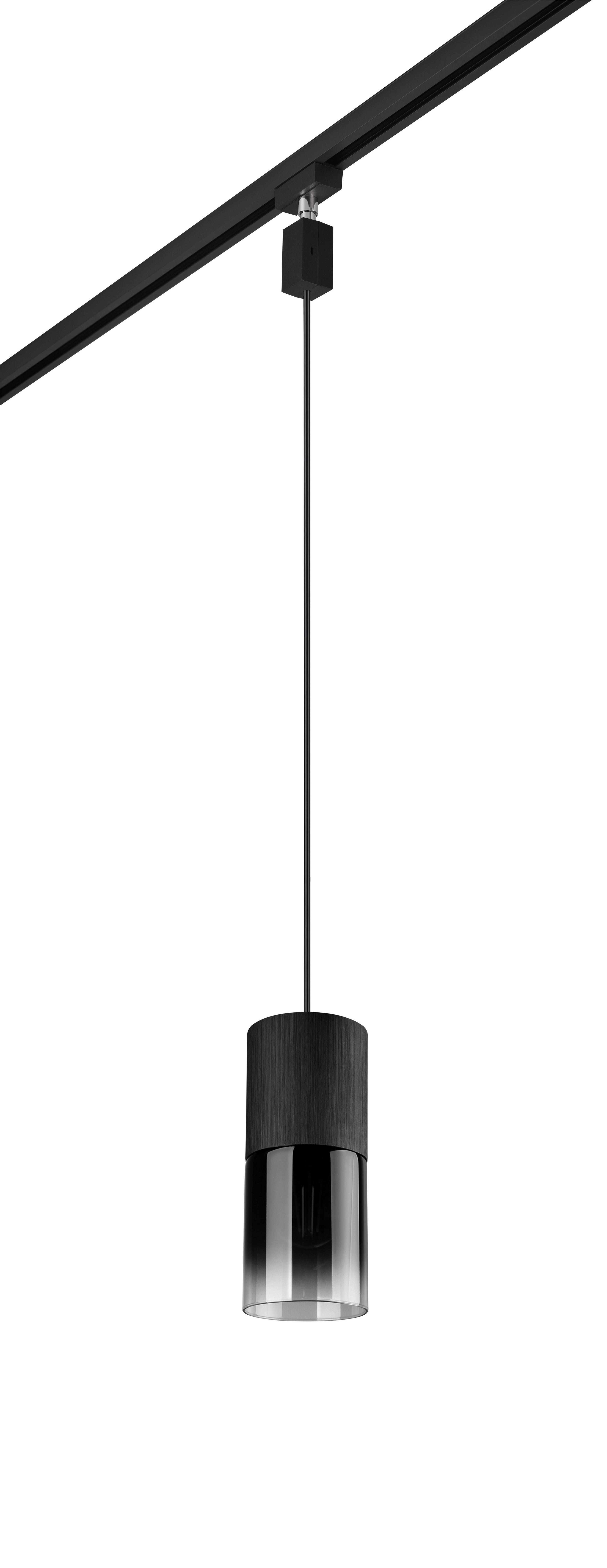 Schienensystem-Hängeleuchte Robin in Grau max. 28 Watt - Schwarz/Grau, KONVENTIONELL, Glas/Metall (10/180cm) - Trio Leuchten
