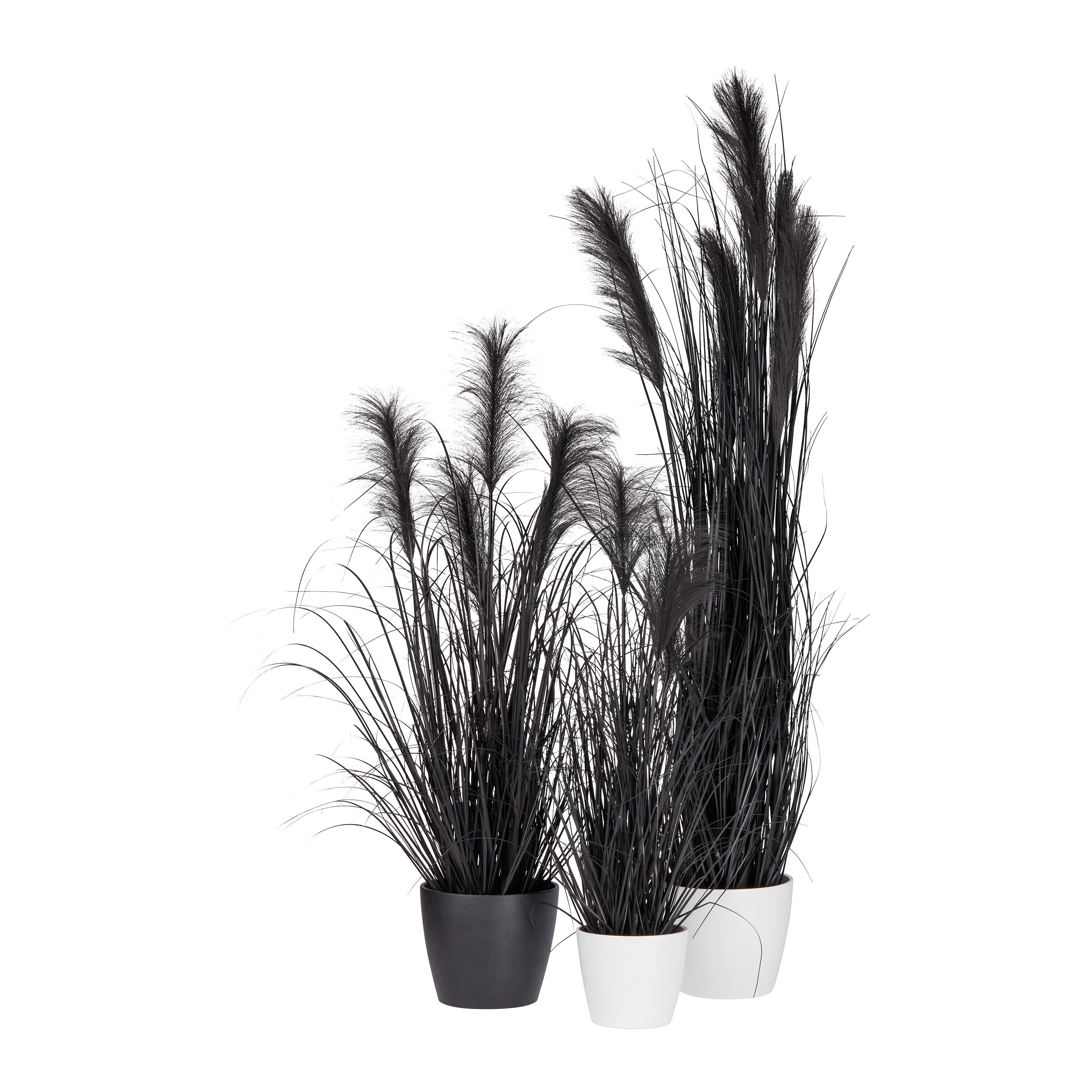 Kunstpflanze Pampasgras I in Schwarz - Schwarz, MODERN, Kunststoff (125cm) - Modern Living