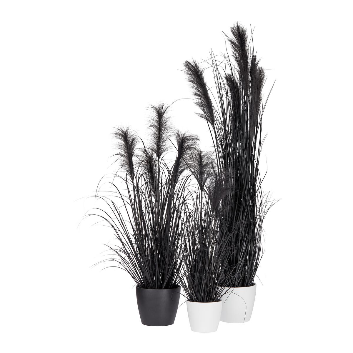 SZTUCZNA ROŚLINA PAMPASGRAS II - czarny, Modern, tworzywo sztuczne (125cm) - Modern Living