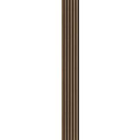 Akustikpaneel Eiche/Dunkelbraun - Eichefarben, KONVENTIONELL, Holzwerkstoff/Kunststoff (250/30/1.1cm) - Novel