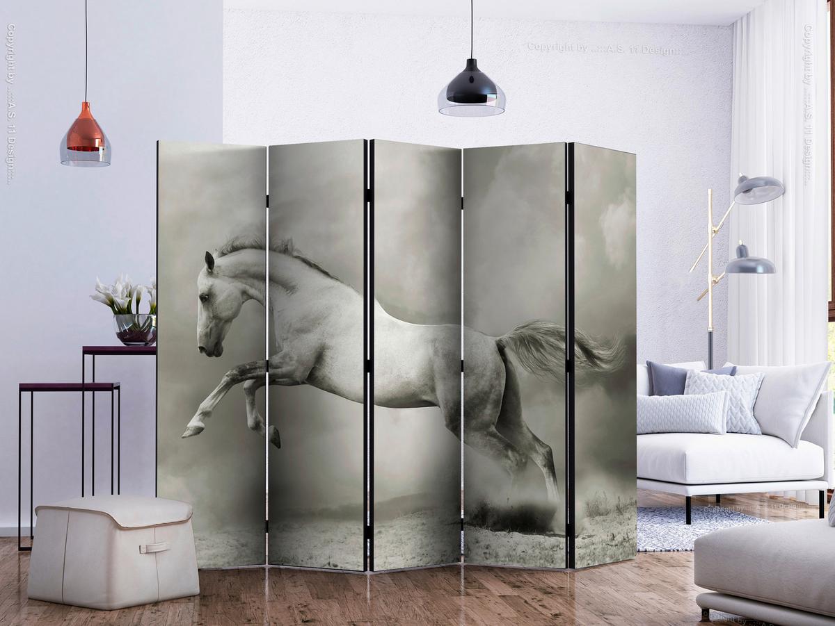 Paravan Wild Stallion I, 5-Delni, Dvostranski - bela/bež, Basics, tekstil/les (225/172/3cm) - artgeist