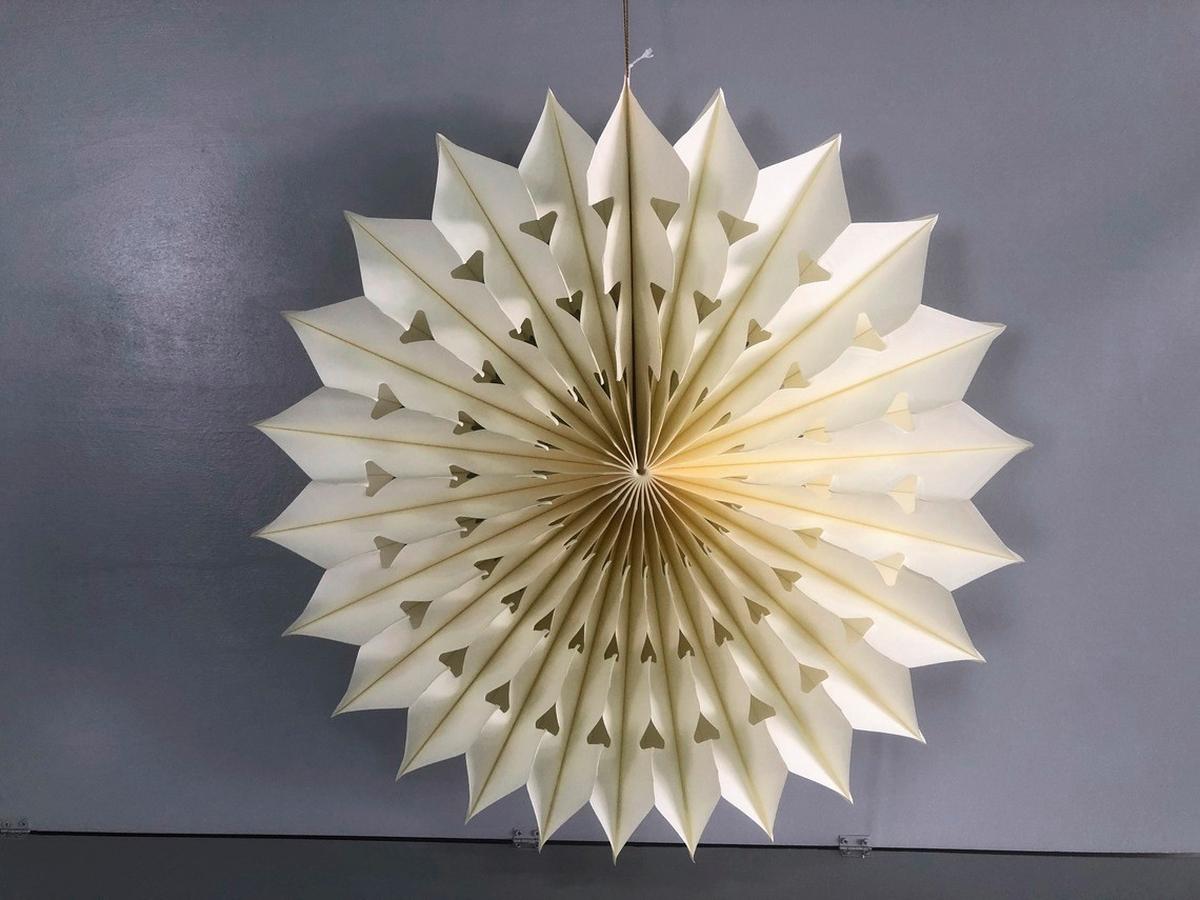 Dekostern Jolie Rot Ø Ca. 20cm - Rot, Konventionell, Papier (20cm) - Mömax