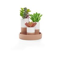 Műnövény Sukkulente - sárga/pink, műanyag/fém (15,5/19cm) - Modern Living