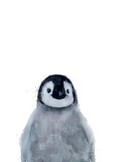 Postkarte Junique mit Pinguinmotiv - Schwarz/Weiß, Basics, Papier (10,5/14,8cm) - Juniqe