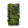 PLANTE ARTIFICIELLE FARNMATTE - vert/pourpre, MODERN, matière synthétique (50/100cm) - Based
