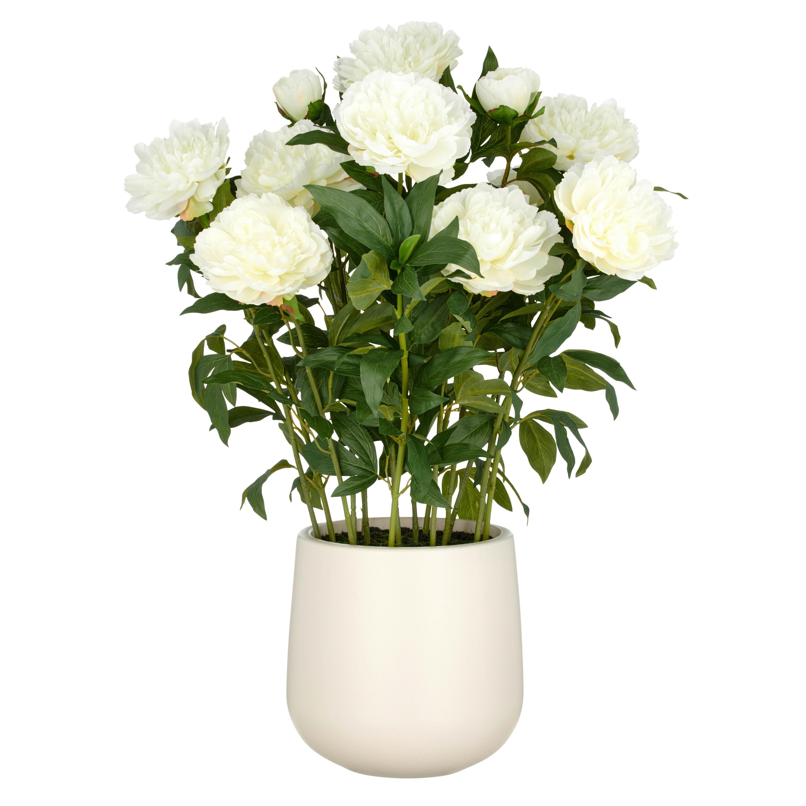 Kunstpflanze Peonien Creme ca. 80cm - Creme/Grün, Basics, Kunststoff (26/80/26cm)
