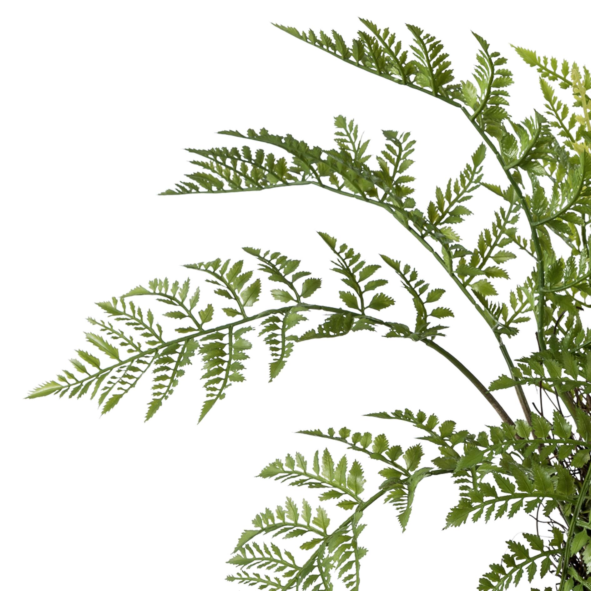 Kunstpflanze Farn in Grün ca. 50cm - Braun/Grün, Trend, Kunststoff (60/50cm) - MID.YOU