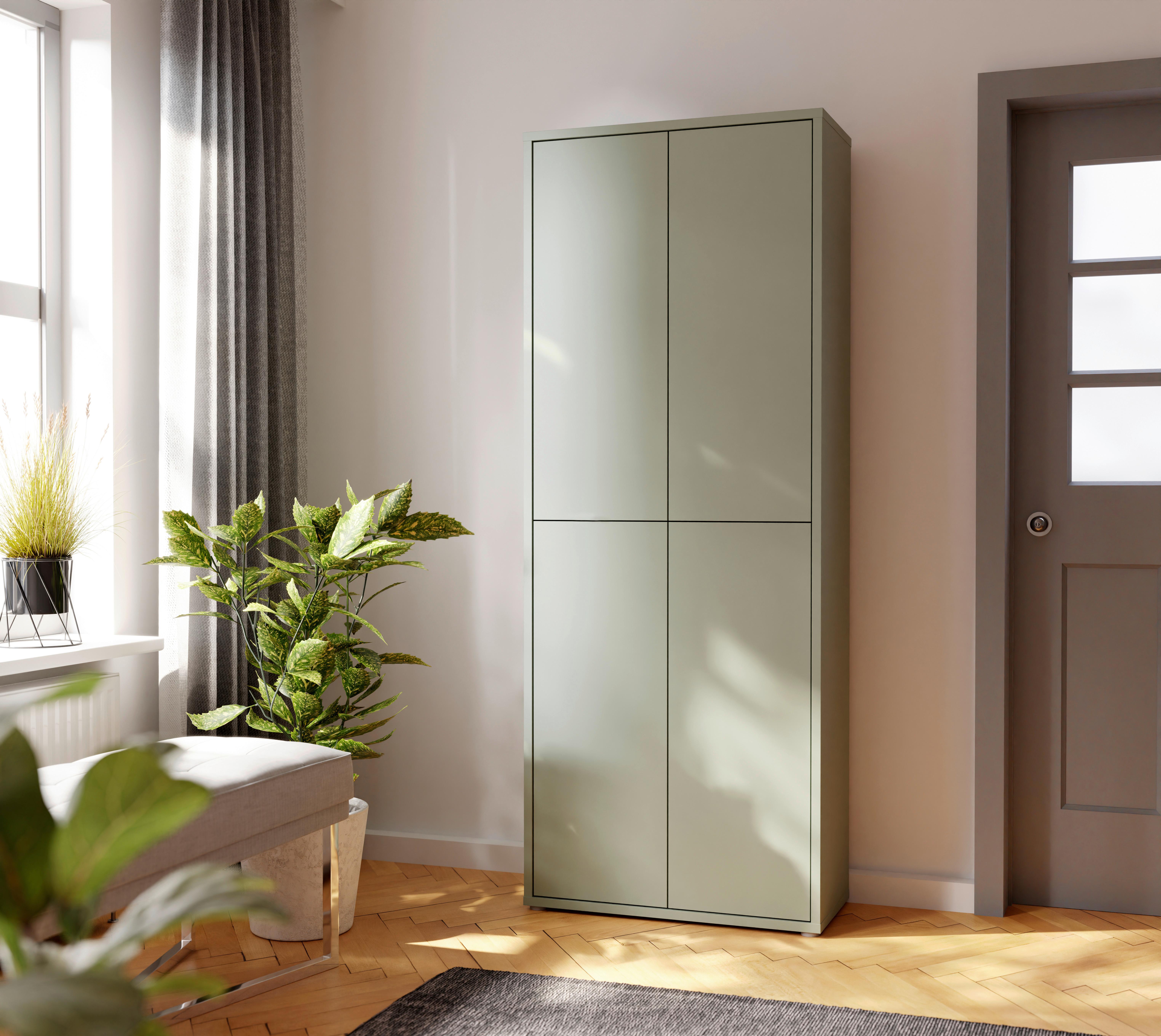 Ormar Za Cipele Alice Springs - siva/boje kadulje, Basics, drvni materijal/plastika (75/192/35cm) - Modern Living