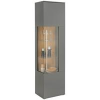 Vitrine Limit in Grau/Eichefarben - MODERN, Glas/Holzwerkstoff (53/201/40cm) - Mömax