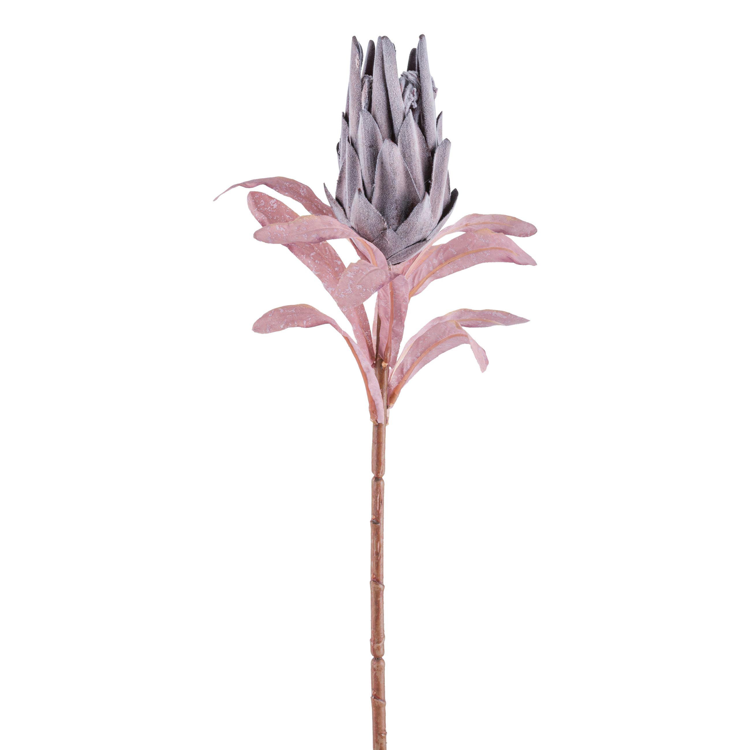 Dekozweig Protea II Lila - Lila/Grün, KONVENTIONELL, Kunststoff (50cm) - Modern Living