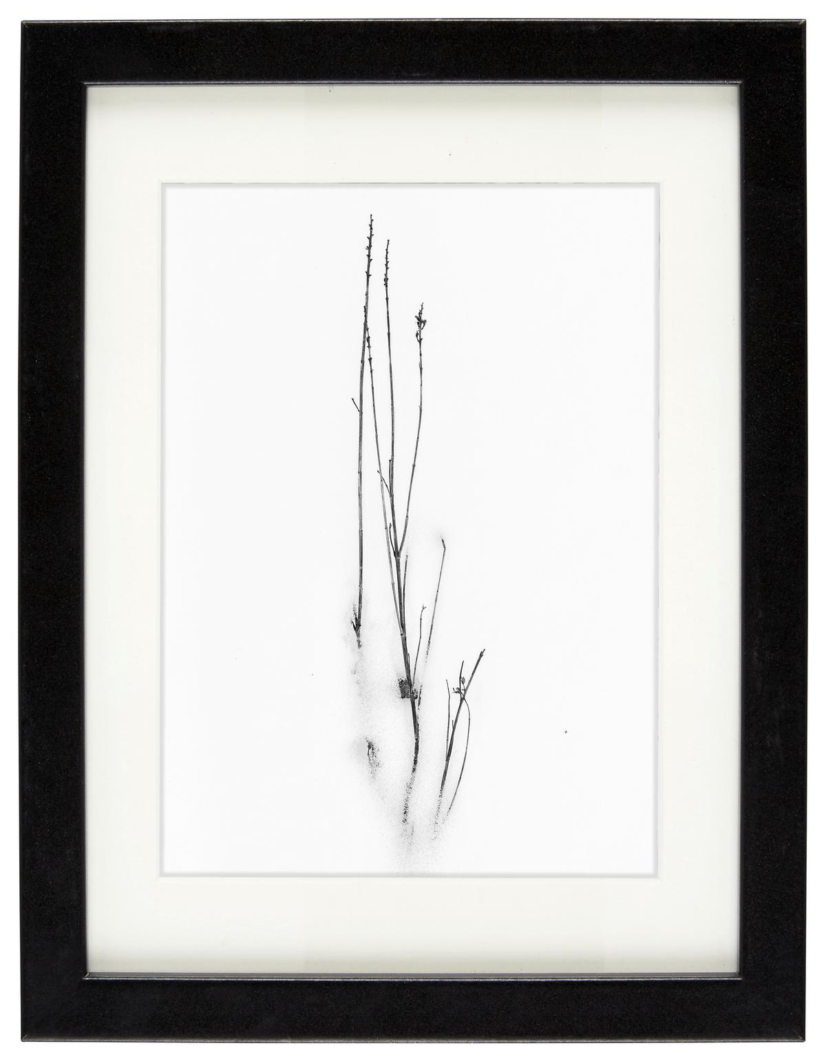 Bilderrahmen Gitta in Schwarz ca. 18x24cm - Schwarz, MODERN, Glas/Holzwerkstoff (18/24cm) - Modern Living