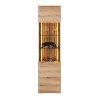 Vitrina Fortuna - antracit, Moderno, kovina/steklo (50/191/38cm) - Premium Living