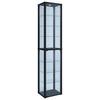 Vitrina Kavisa, Črna - črna, Moderno, umetna masa/steklo (50/227/38cm) - MID.YOU