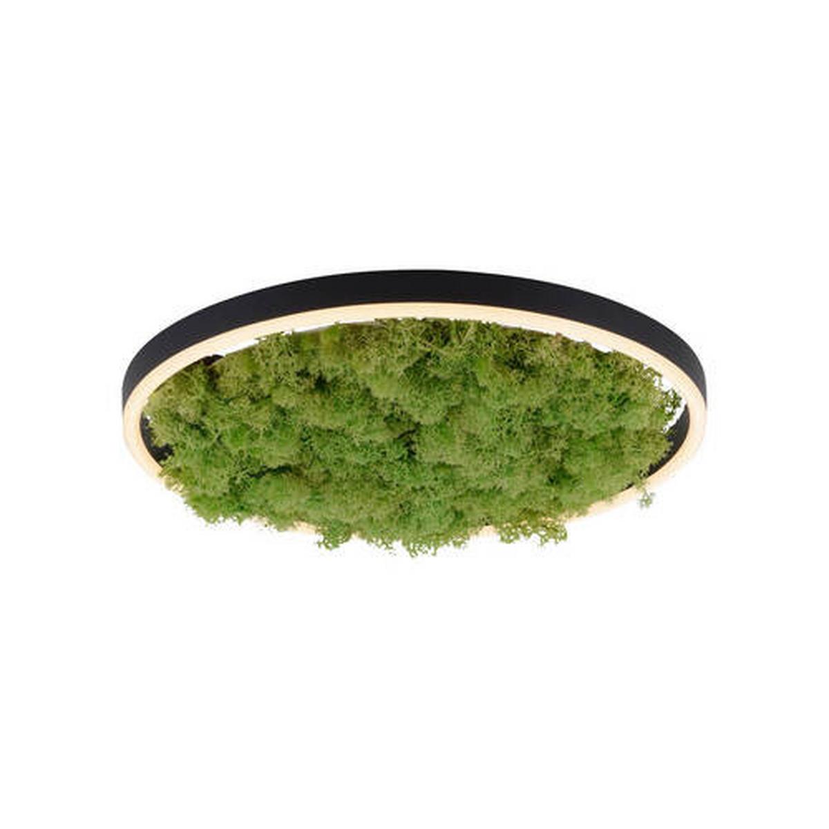 LAMPA SUFITOWA LED 15391-66 GREEN RITUS - kolor naturalny, Natur, tworzywo sztuczne/materiały naturalne (39,3/39,3/5,3cm)