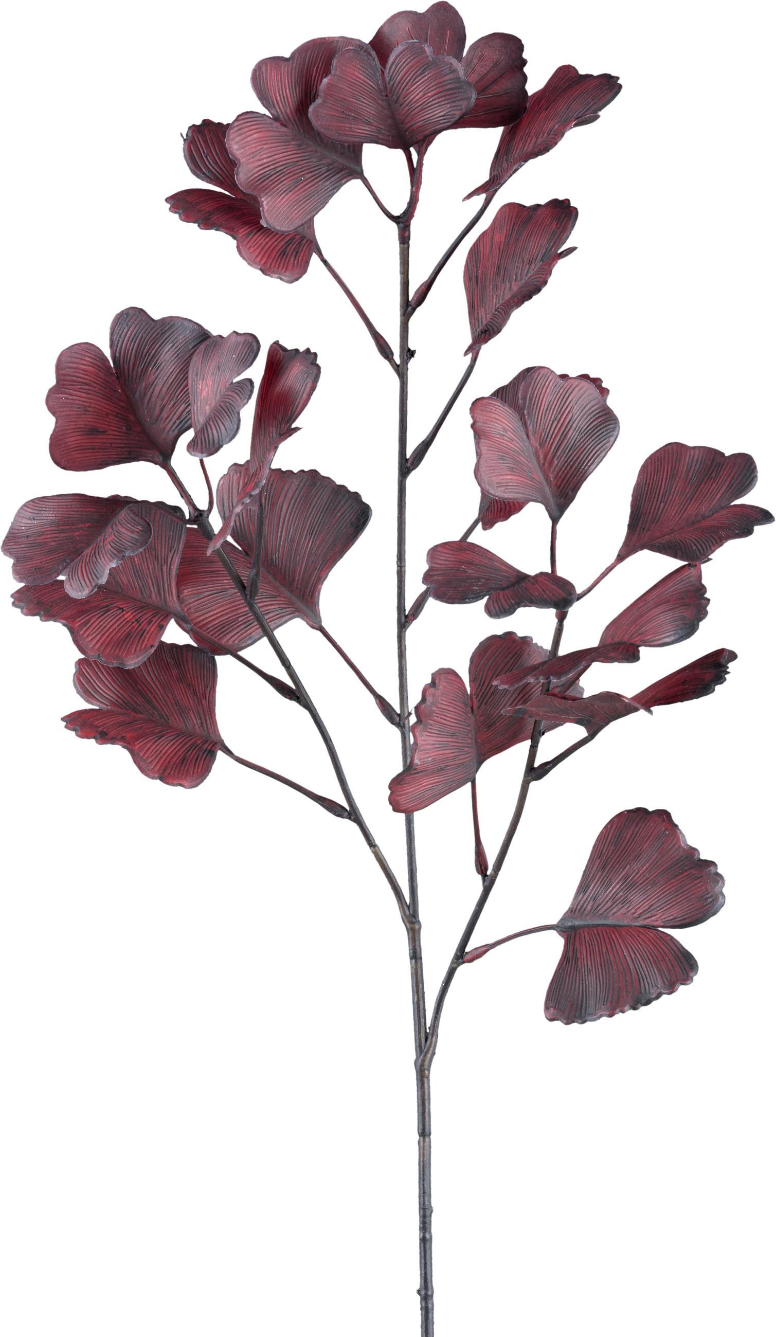 Dekor Gally Ginkgo - sötétvörös/barna, Konventionell, műanyag (62cm) - Modern Living