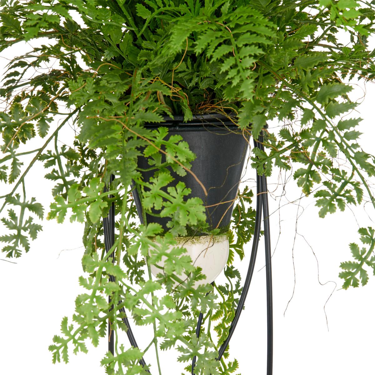 Kunstpflanze Farnmix Grün/Schwarz ca. 60cm - Schwarz/Grün, Basics, Kunststoff/Metall (60cm) - P & B