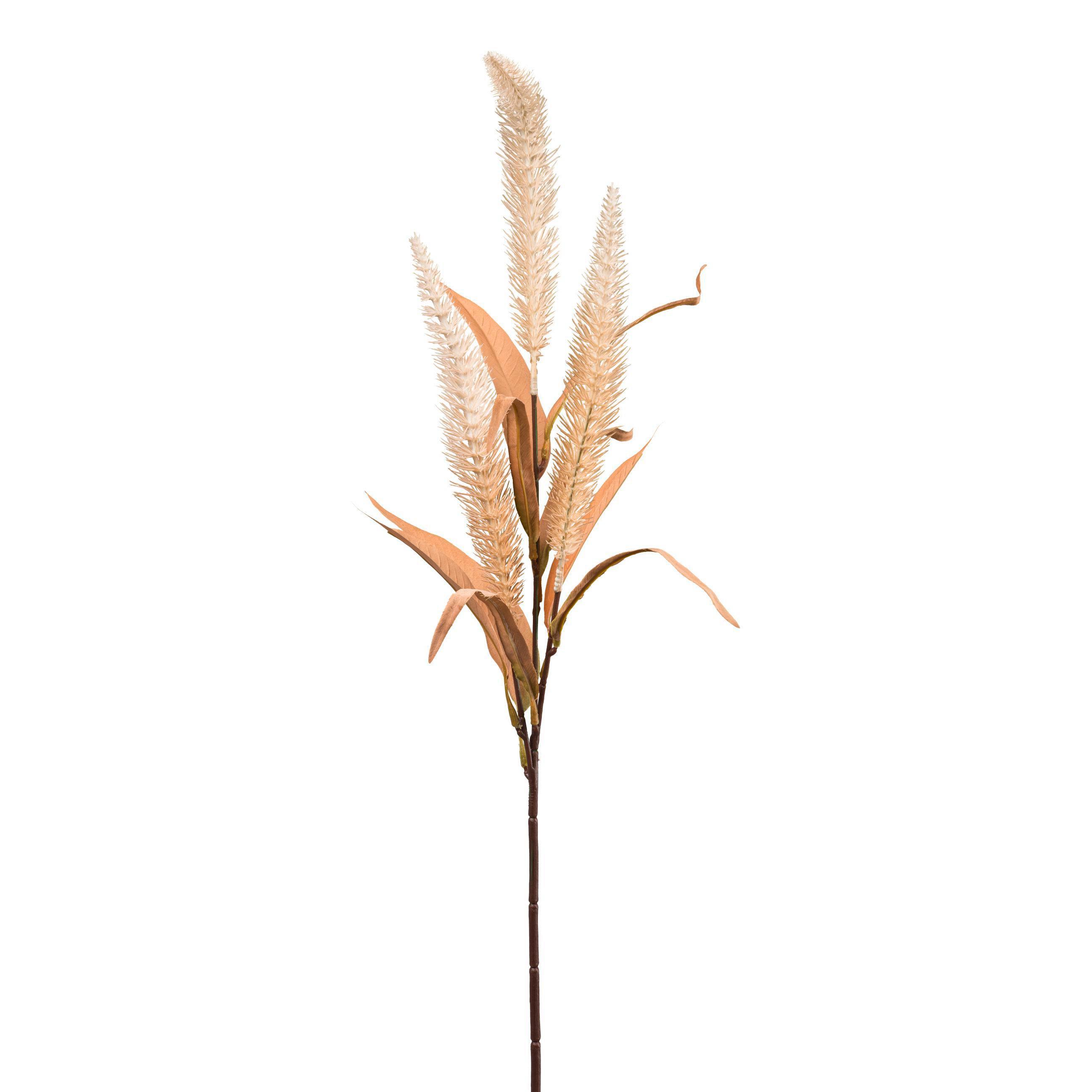 Műnövény Timo - barna/krém, Lifestyle, műanyag (70cm) - Modern Living