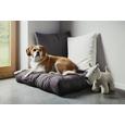 Sedežna Blazina Za Palete Daniel - rjava, tekstil (40/60cm) - Mömax modern living Sedežna Blazina Za Palete Daniel - rjava, tekstil (40/60cm) - Mömax modern living