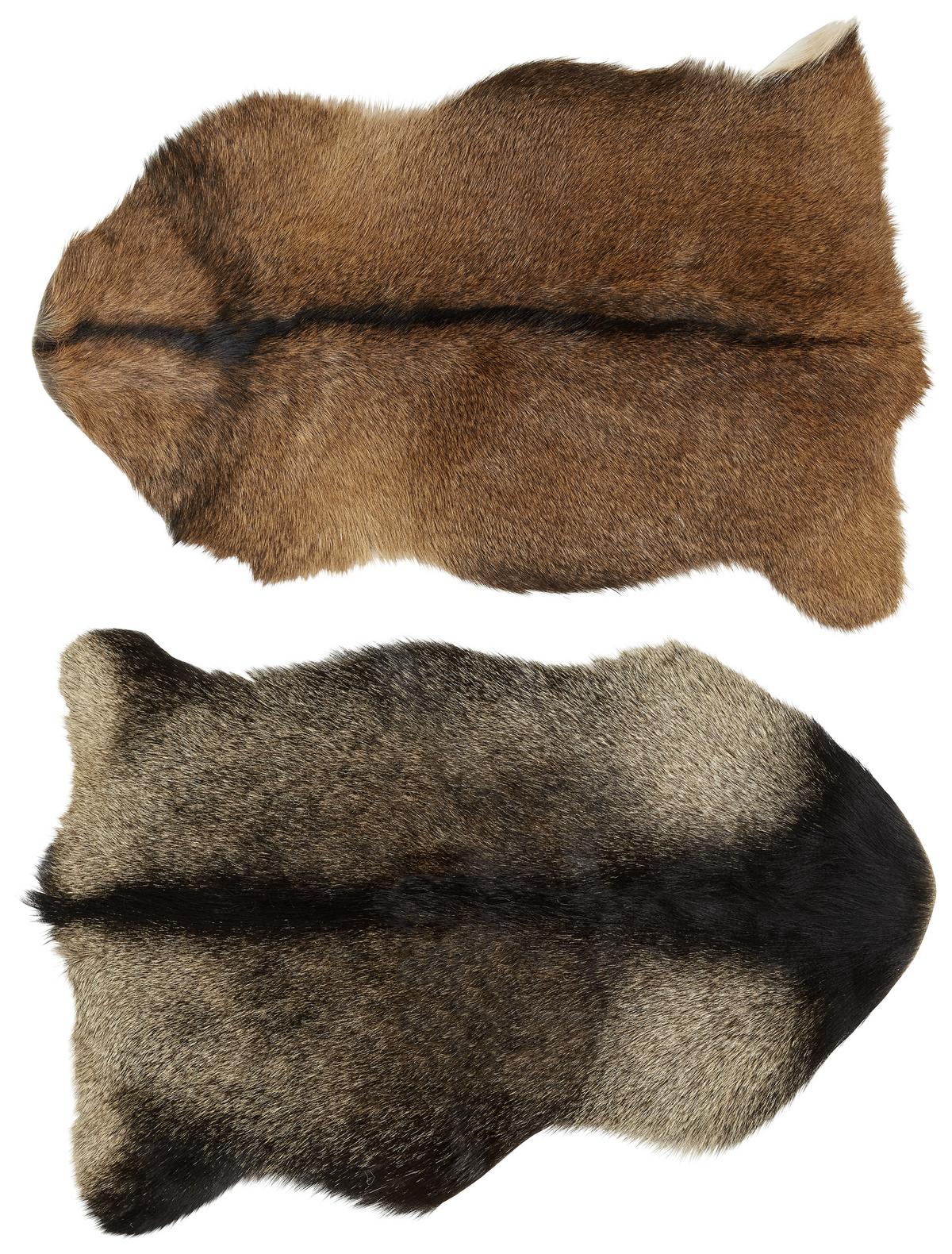 Kecskebőr Heidi 80/50 - natúr színű/barna, szőrme (80/50cm) - Modern Living