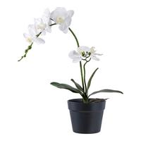 Kunstpflanze Orchid Weiß - Weiß, Design (21/47/34cm)