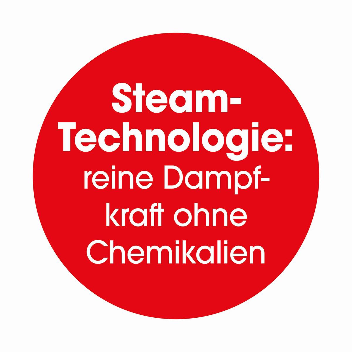 Dampfbürste Cleanmaxx Schwarz - Schwarz, Basics, Kunststoff/Metall (11,5/10/22,4cm)