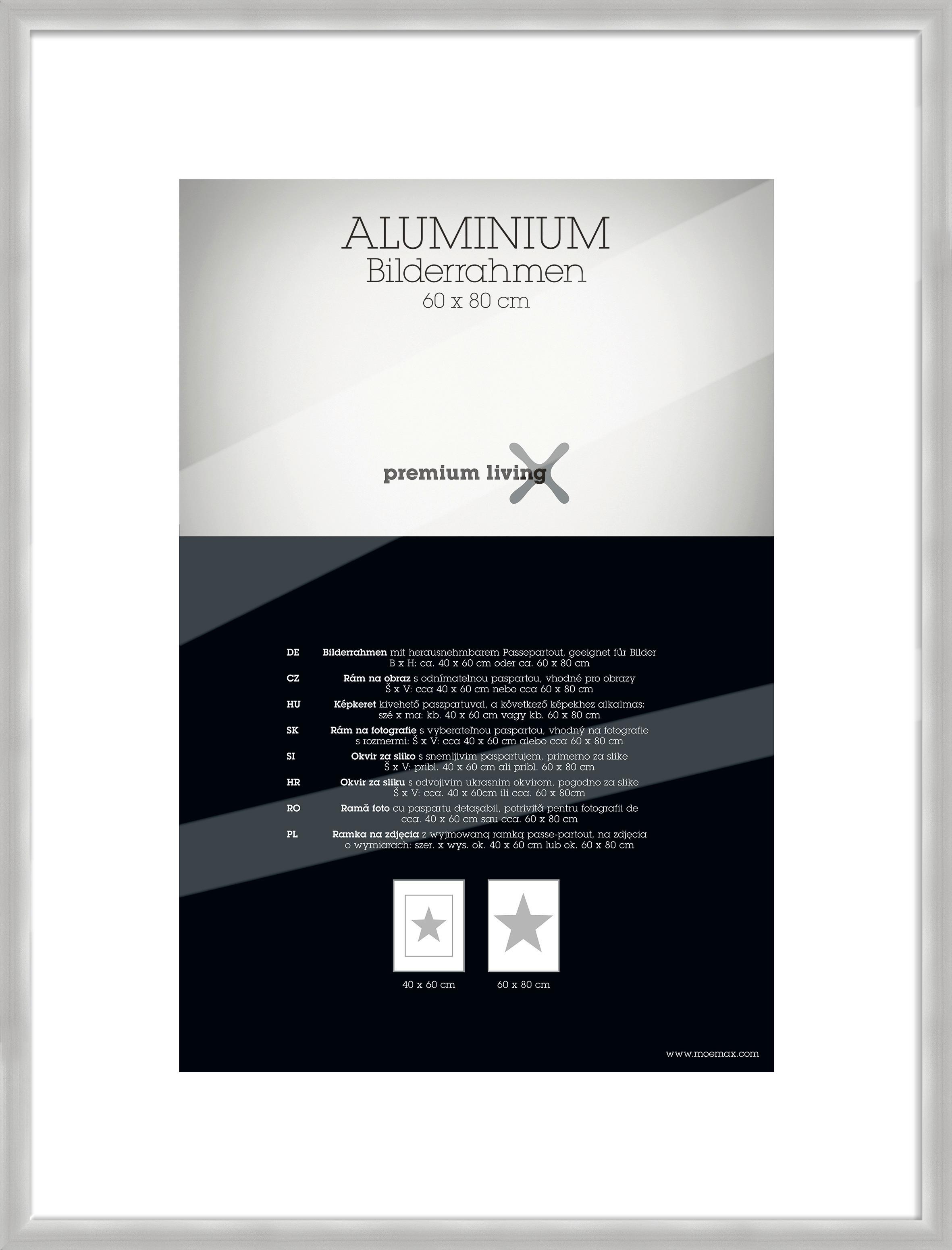 Okvir Za Slike Aluminium - srebrne barve, Basics, kovina (63,1/83,1/2.2cm) - Premium Living