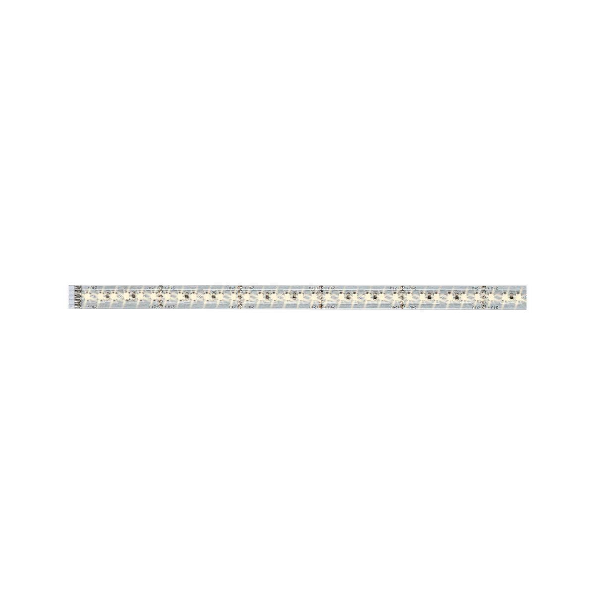 LED-Strip MaxLED 1000 Silberfarben max. 12 Watt - Silberfarben, Basics, Metall (100cm) - Paulmann