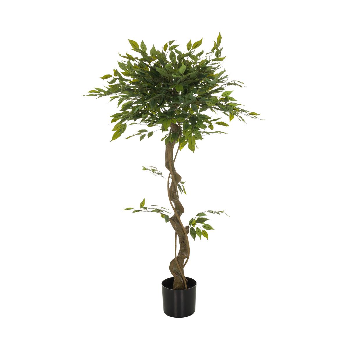 Umetna Rastlina Ficus I - črna/zelena, Basics, umetna masa (70/120/70cm) - MID.YOU