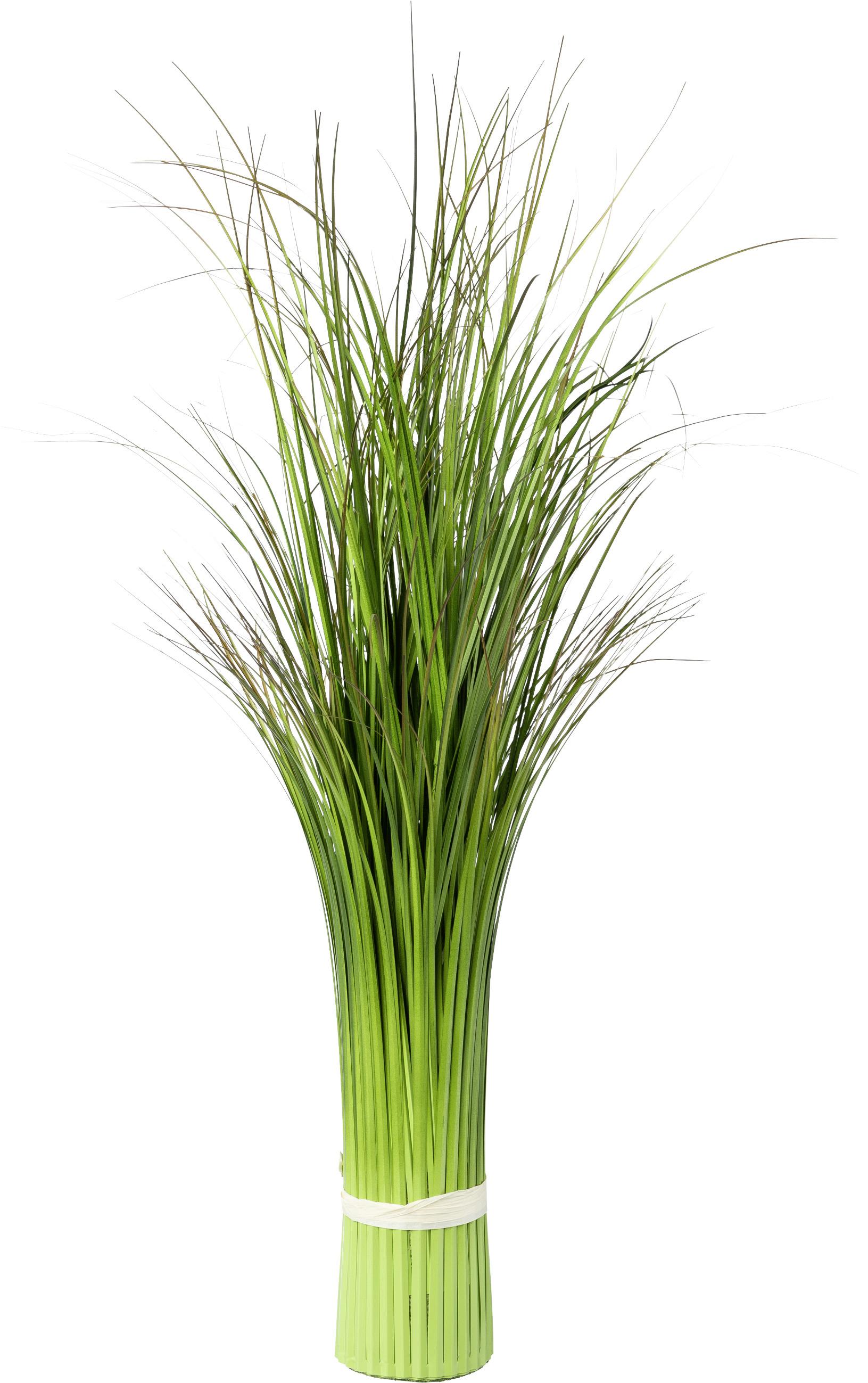 Grasbündl Markus in Grün - Grün, Basics (80cm) - Modern Living