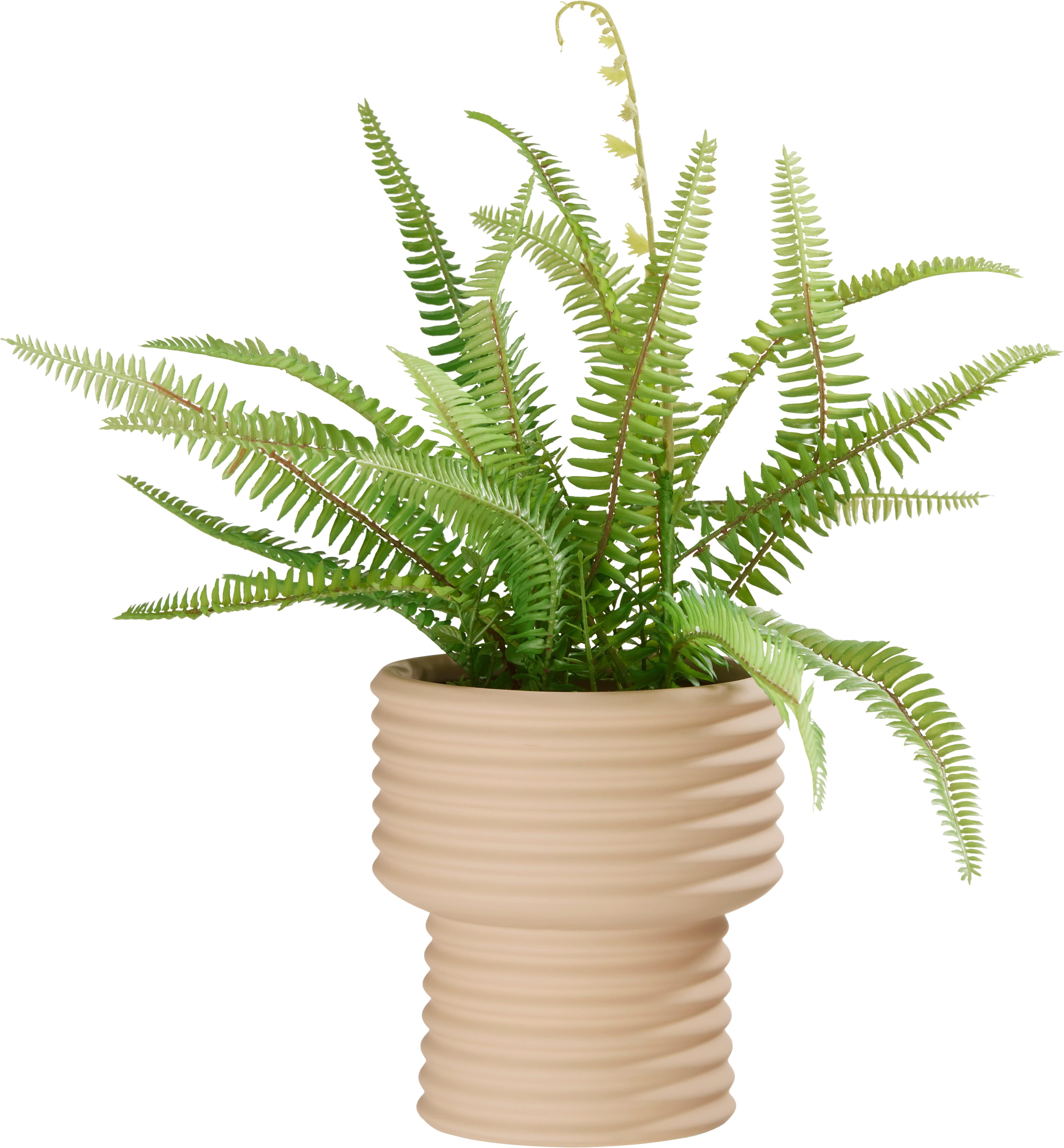 Kaspó Átm./ma.: Kb. 16/18cm Lilian - bézs, Basics, kerámia (16/18cm) - Modern Living