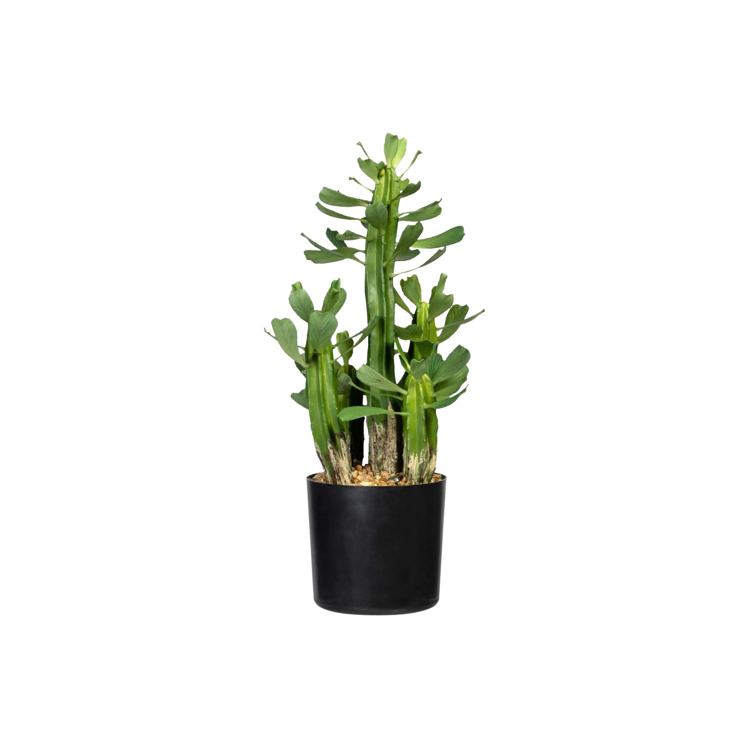 Kunstpflanze Sukkulenten Grün - Schwarz/Grün, Design, Kunststoff (40cm) - P & B