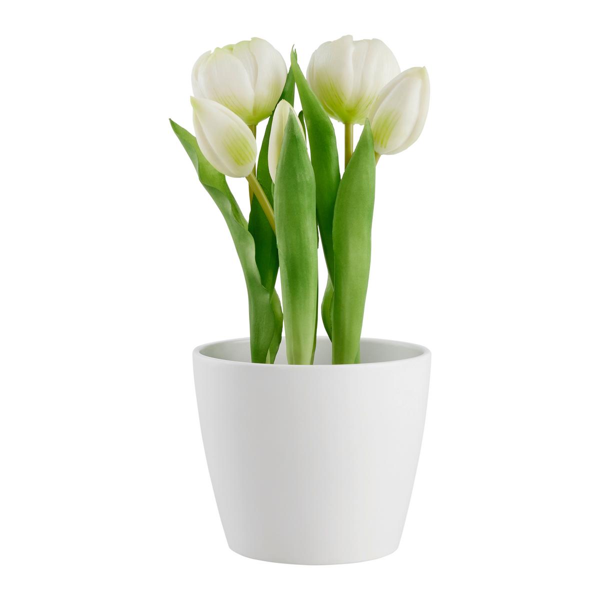 Műnövény Tulipán - fekete/fehér, Basics, műanyag (25cm) - Modern Living