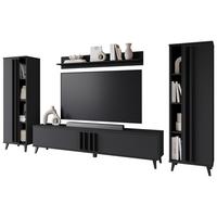 WOHNWAND HELSINKI 01 - Schwarz, Trend, Holzwerkstoff/Kunststoff (270/140/33cm) - P & B