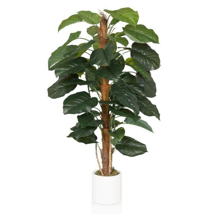 Umetna Rastlina Epipremnum - zelena/bela, Moderno, umetna masa (67/155/60cm) - MID.YOU