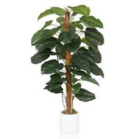 Umetna Rastlina Epipremnum - zelena/bela, Moderno, umetna masa (67/155/60cm) - MID.YOU