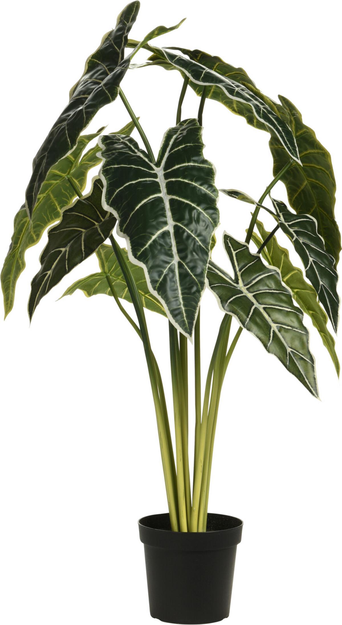 Műnövény Kaspóban Alocasia - természetes anyagok (15/80cm)