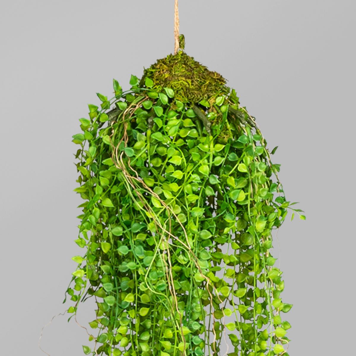 Kunstpflanze in Grün ca. 70cm - Grün, Basics, Kunststoff (70cm) - P & B