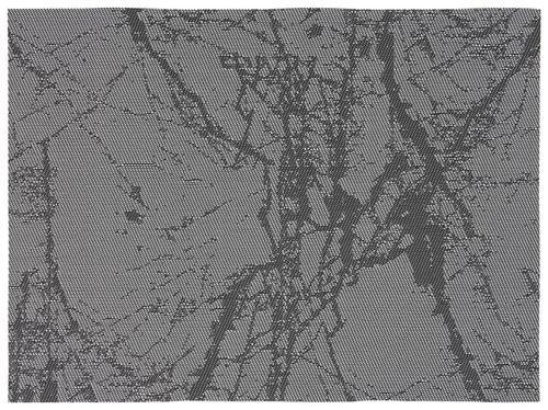 Tischset Mary in Grau ca. 33x45cm - Grau, Basics, Textil (33/45cm) - Mömax modern living