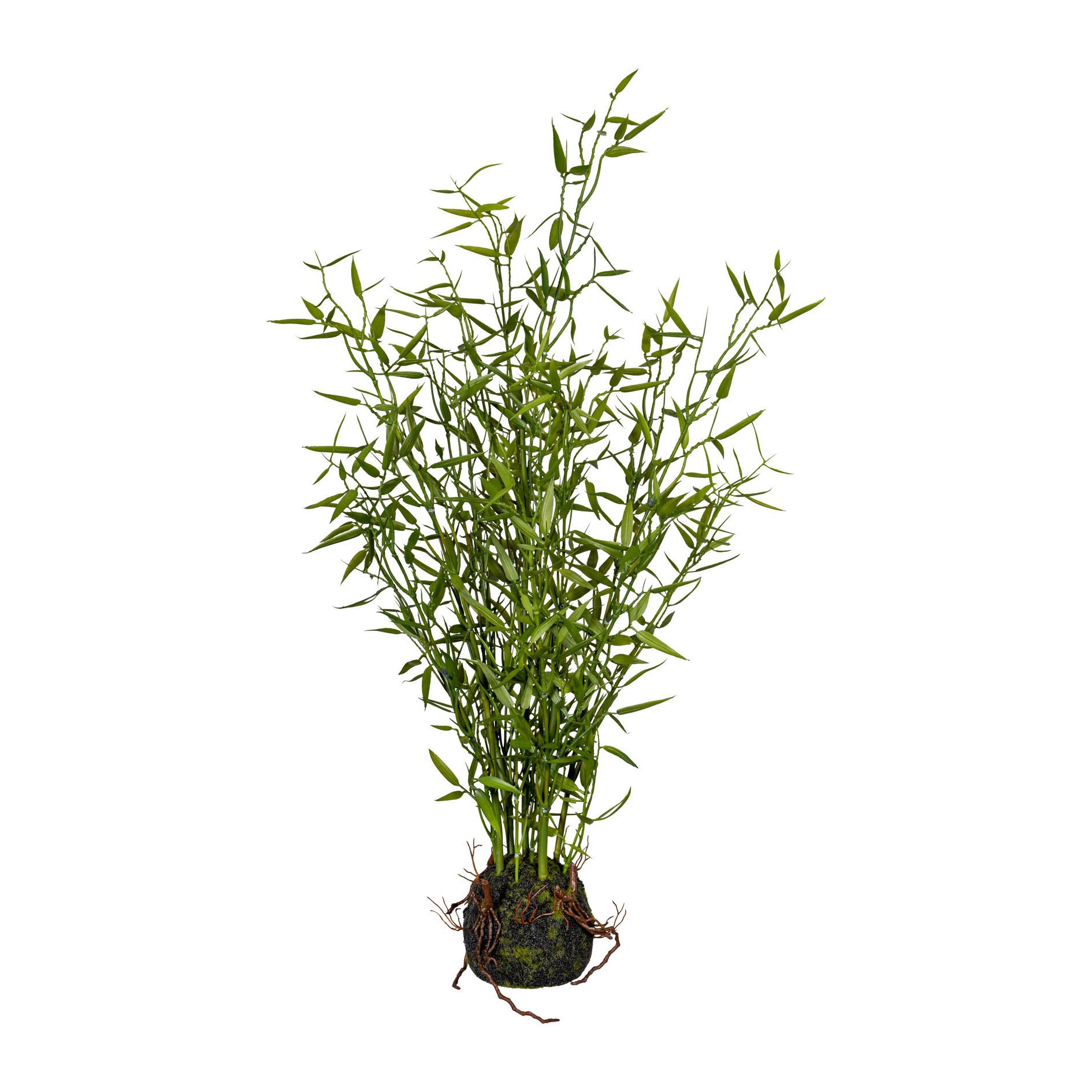 SZTUCZNA ROŚLINA GRÜNPFLANZEN - zielony/brązowy, Design, tworzywo sztuczne (60cm)