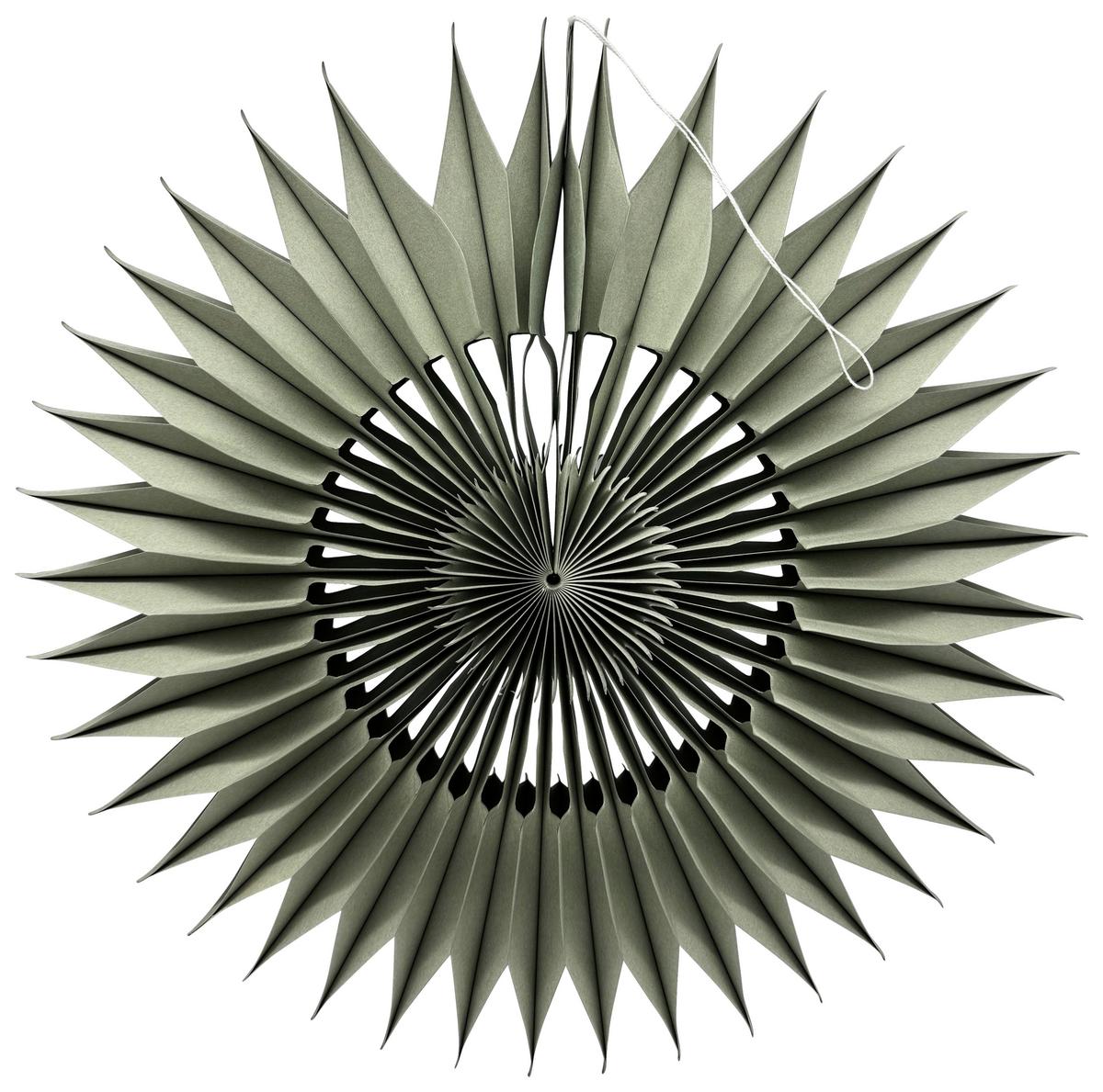 Okrasna Zvezda Jolie - svetlo siva, Konvencionalno, papir (20cm) - Mömax