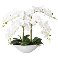 Kunstpflanze Orchideen Weiß/Grün - Weiß/Grün, Design, Keramik/Kunststoff (53cm)