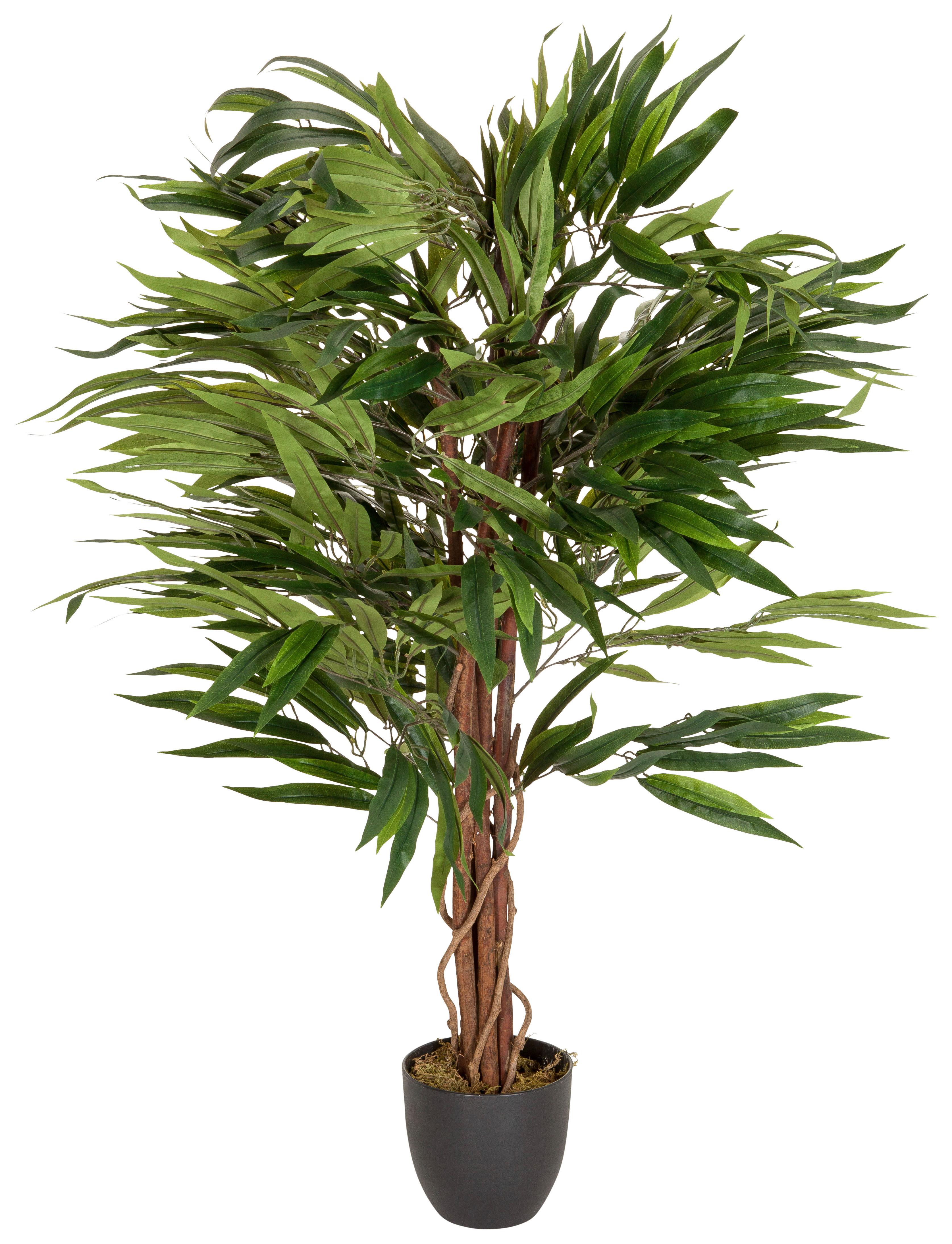 Umetna Rastlina Mango - črna/zelena, Basics, umetna masa (85/130/85cm) - MID.YOU
