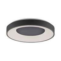 LED-Deckenleuchte Anika max. 30 Watt - Anthrazit, Basics, Kunststoff/Metall (48/7,8cm)