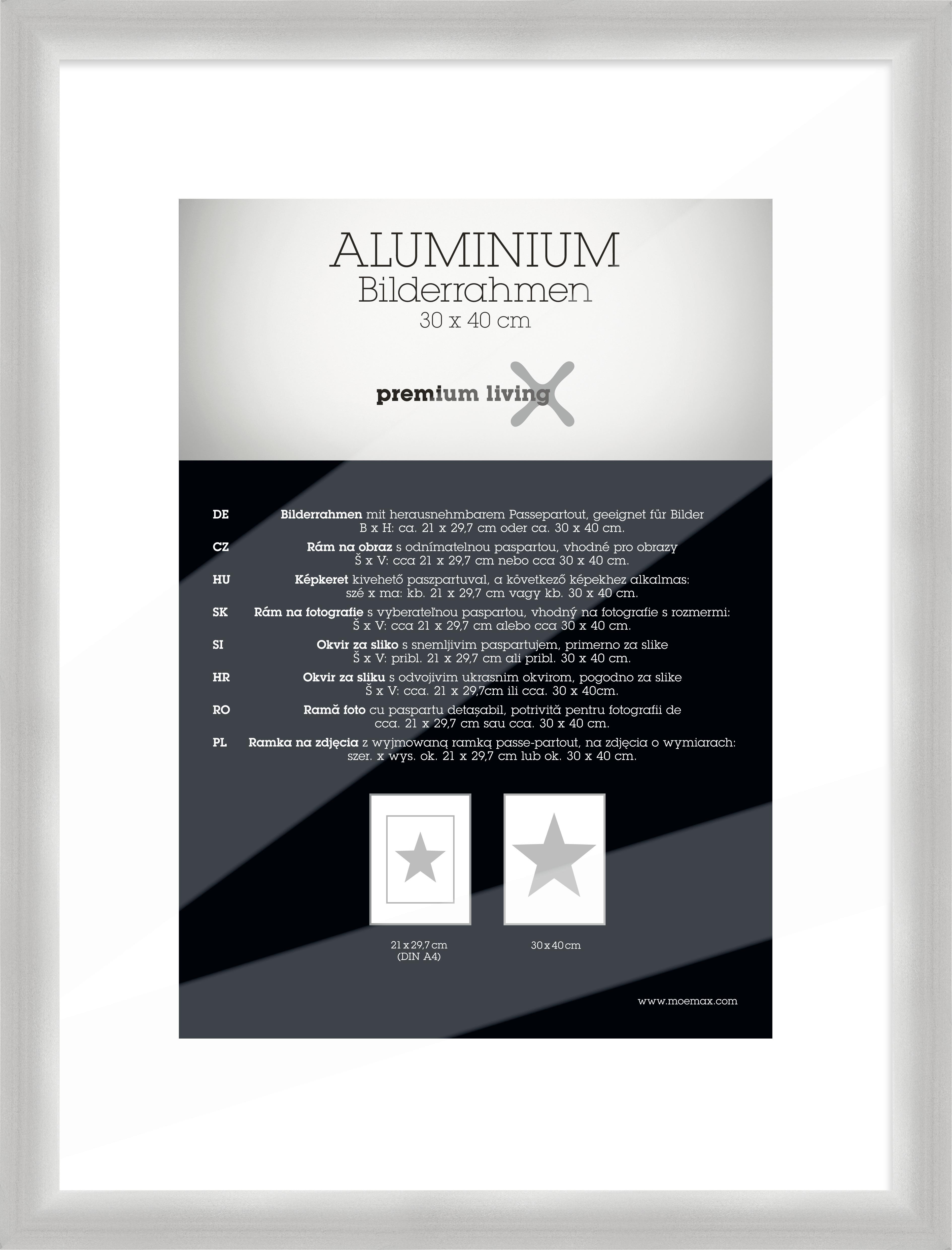 OKVIR ZA SLIKE ALUMINIUM - srebrne boje, Basics, metal (33,1/43,1/2.2cm) - Premium Living
