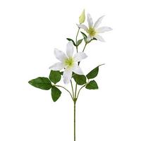 Művirág Lilly - barna/fehér, Basics, műanyag/textil (73cm)