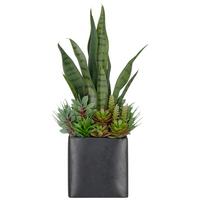 Sukkulente Grün/Schwarz - Schwarz/Grün, Basics, Kunststoff/Metall (55cm)