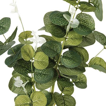 Grana Dekorativna Eucalyptus - Basics (30/90/9,5cm)